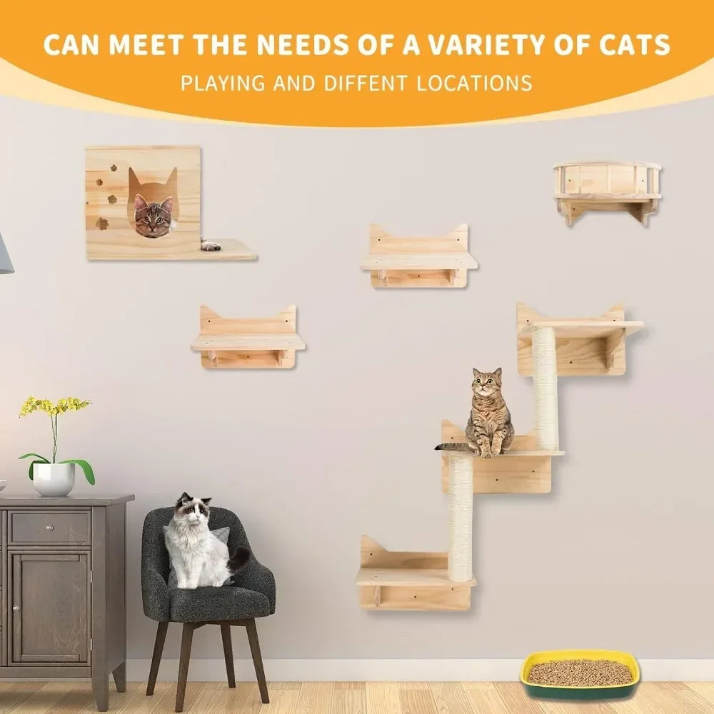 Pine Cat Wall Frame for Climbing, Set of 5 Cat Wall Furniture