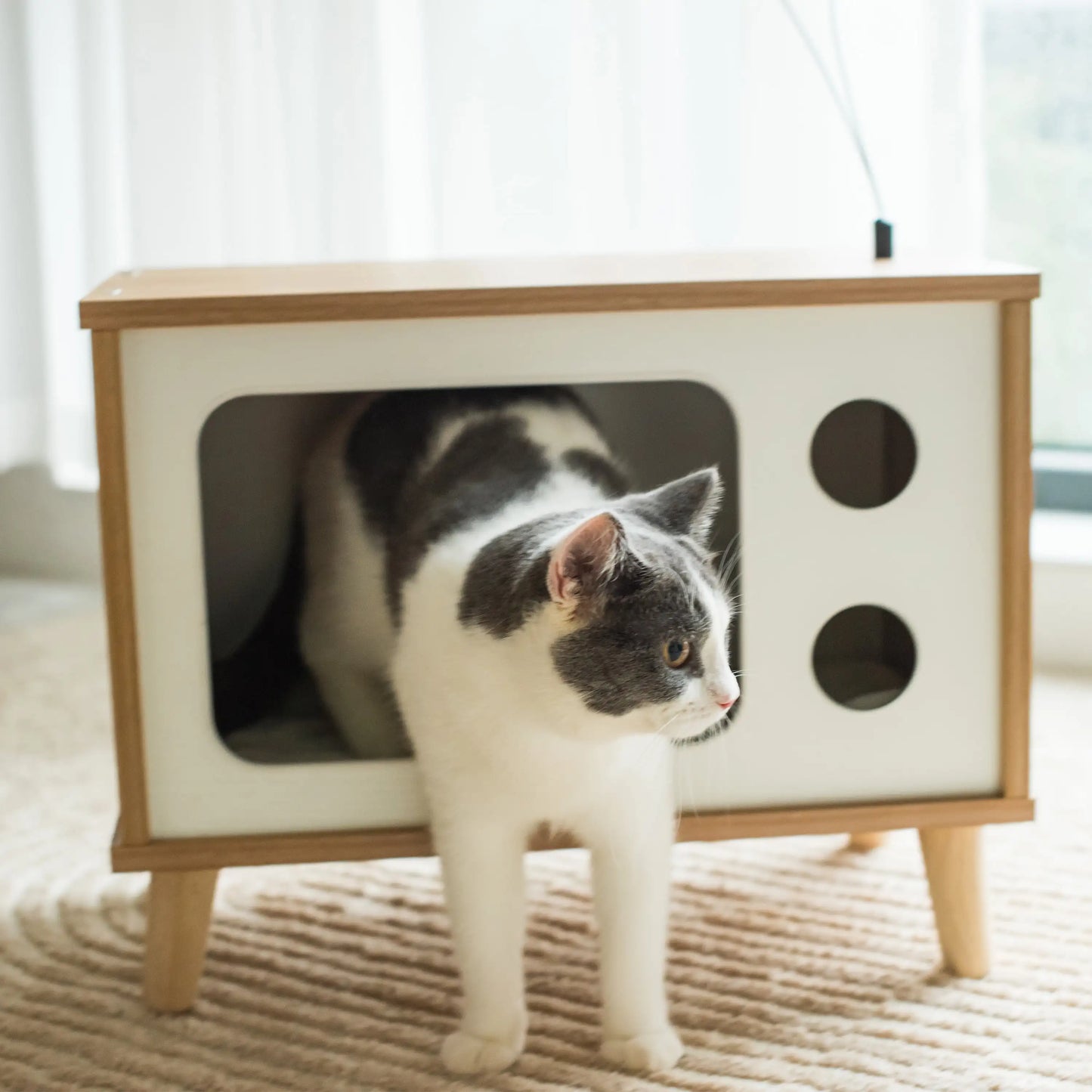 Vibrant Life Purr-View Retro TV Cat Condo with Jute Scratching Pad & Washable Mat