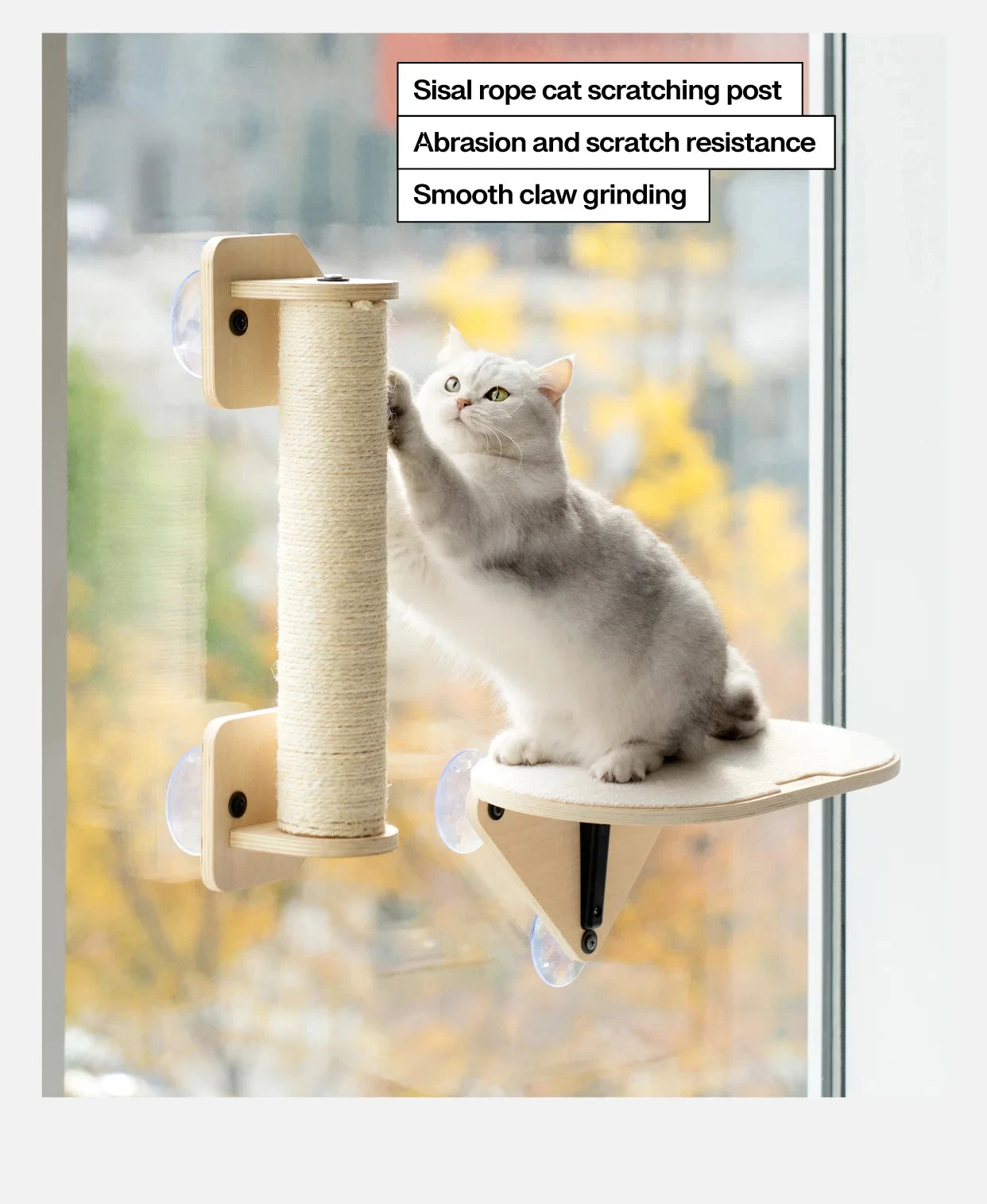 Mewoofun Air Cat Climbing Frame Glass Suction Cup Wall