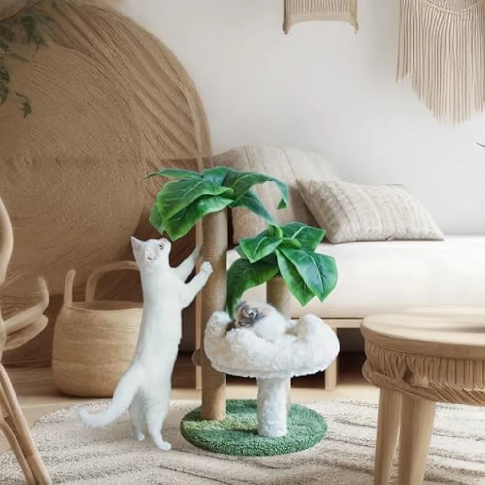 Cat Scratching Post Palm Tree with Bed Cloud Cat Tree