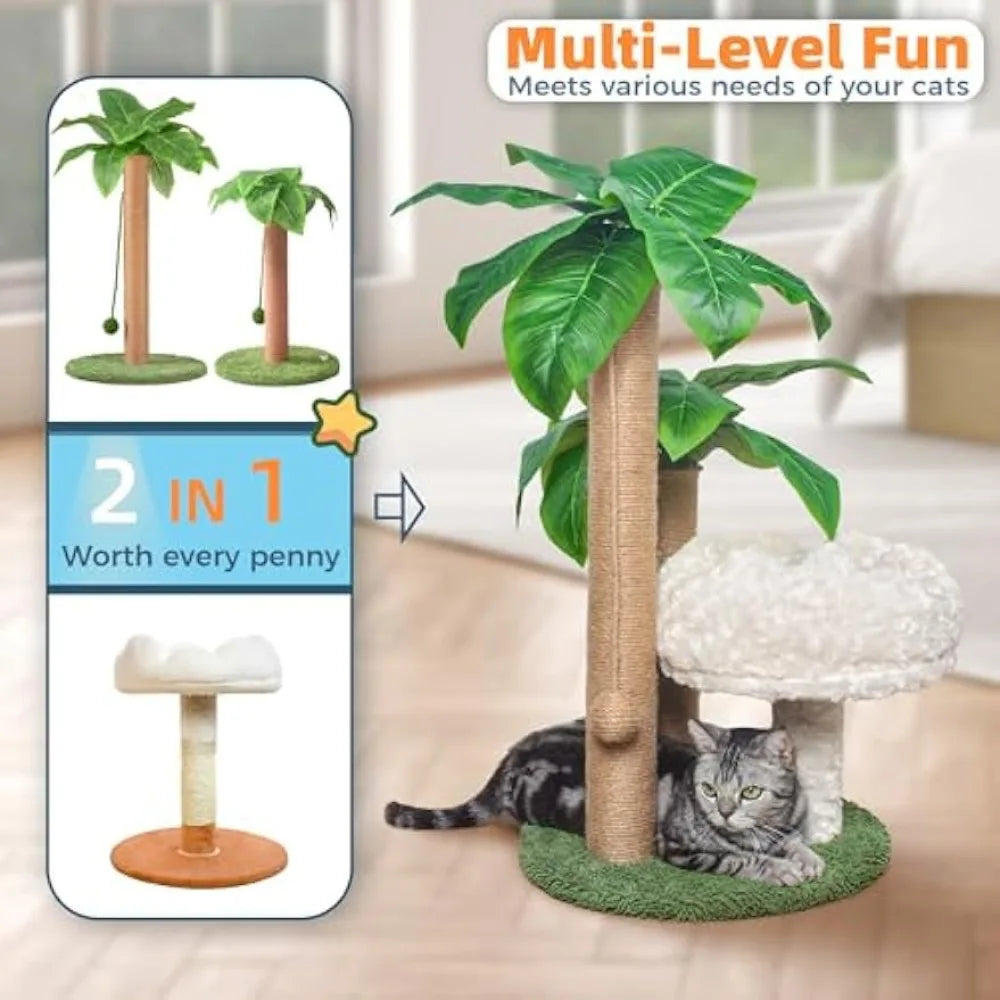 Cat Scratching Post Palm Tree with Bed Cloud Cat Tree